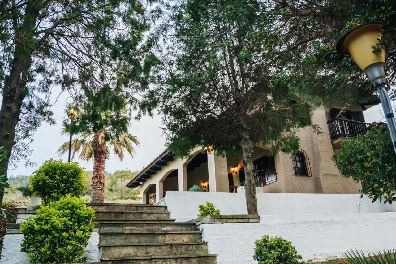 The Tree House Villa Agios Andreas  Dış mekan fotoğraf